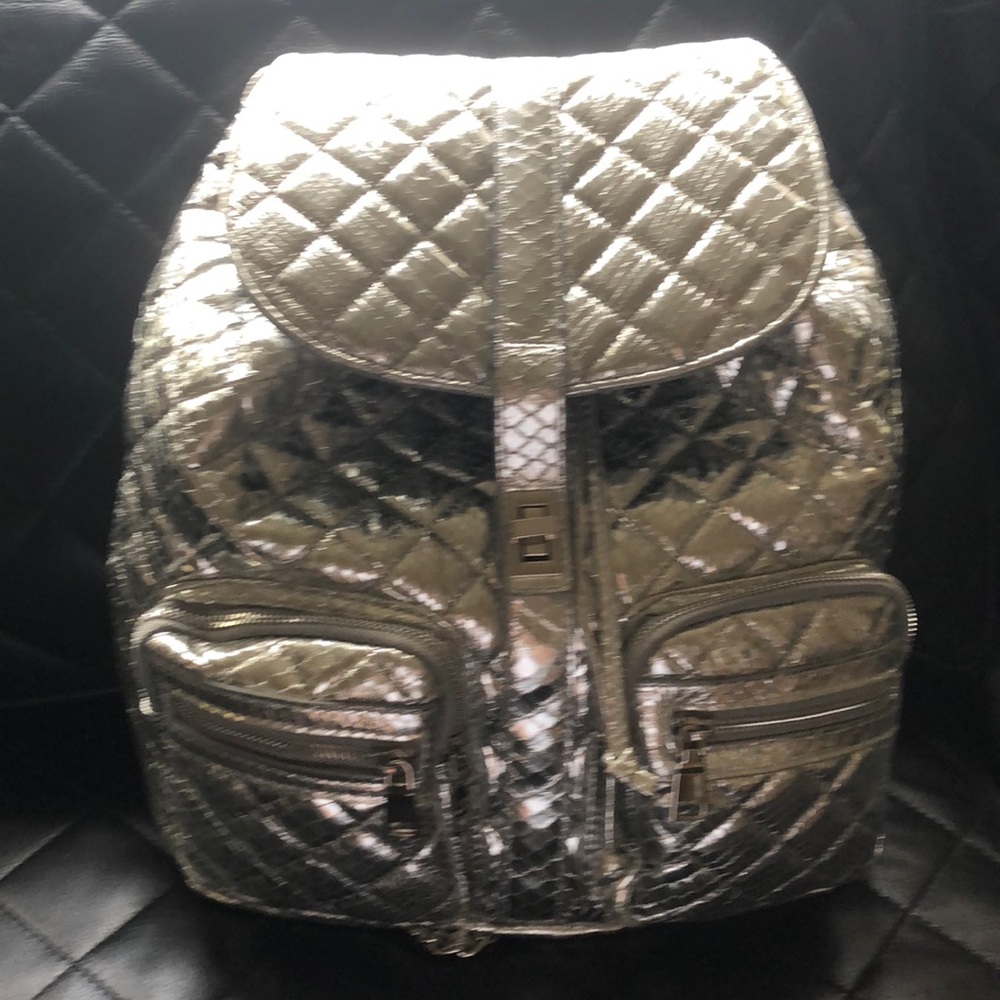 Steve Madden silver bag!